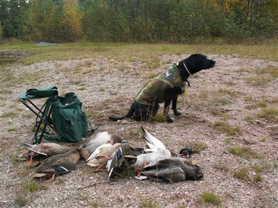 Vi jagar änder hösten 2010